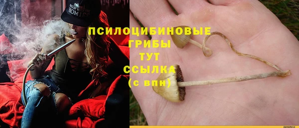 мяу мяу мука Нефтекумск