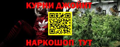 Альфа ПВП Гусиноозёрск