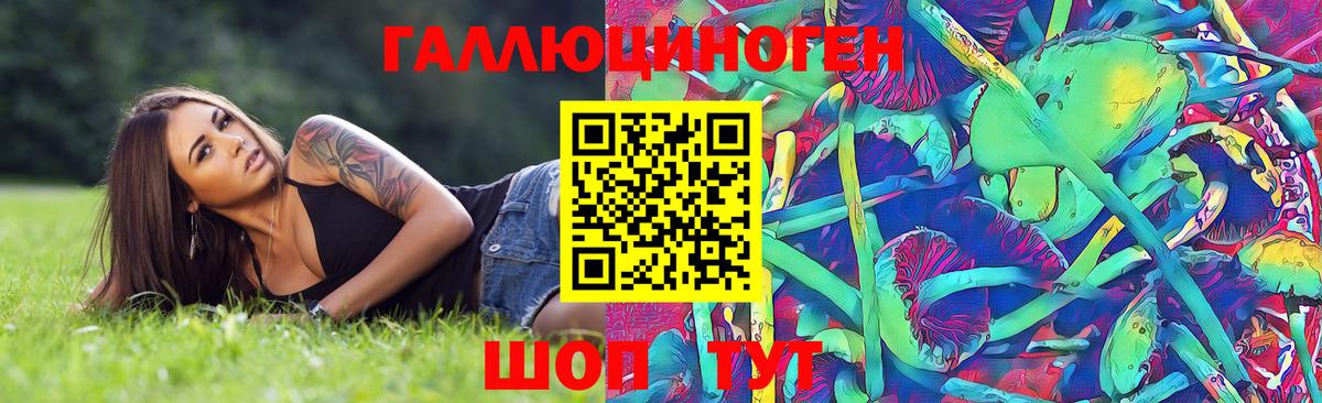 Кольчугино  Галлюциногенные грибы GOLDEN TEACHER  Вход с VPN 